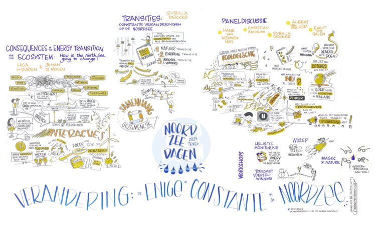 Noordzeedagen, live getekend voor NIOZ, Texel, sept 2023 (dag 2)