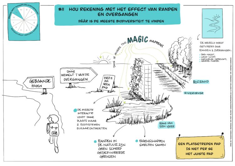 Ontwerpprincipe #11 permacultuur, juni 2023